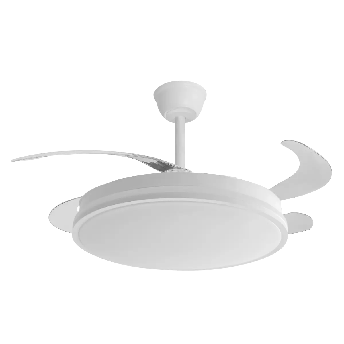 Guerrero blanco